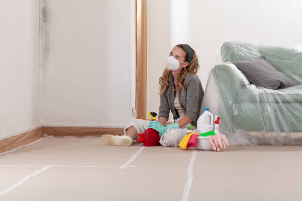 Reliable Mold Remediation contractor in Jordan, NY by WQB Mold Removal